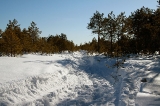Тегус-Лор-2011