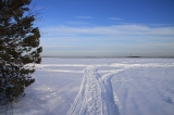Тегус-Лор-2011
