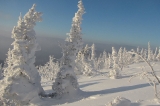 Таскыл-2015