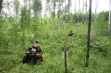 Трофи-рейд 
